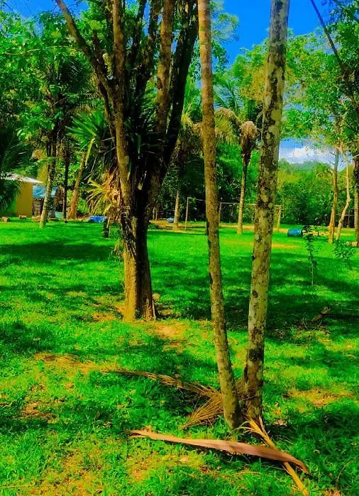 Parati Suite-1
